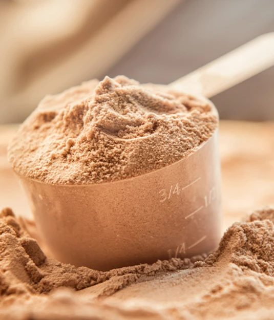 mushroom powder B